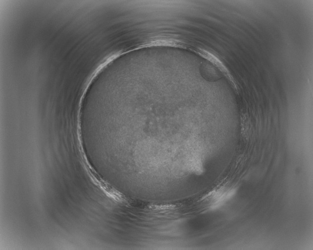 X0000054371043200508191841