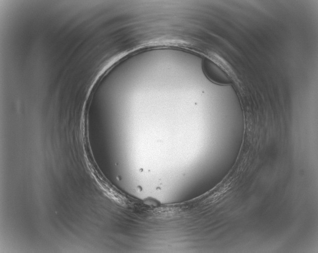 X0000054371044200508191841