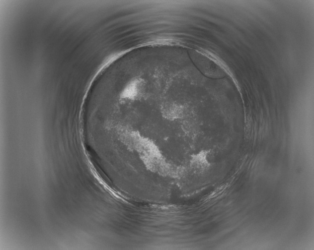 X0000054371045200508191841