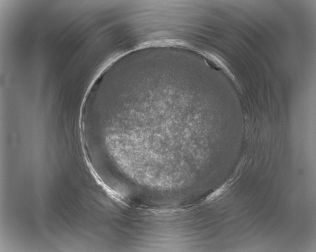 X0000054371046200508191841