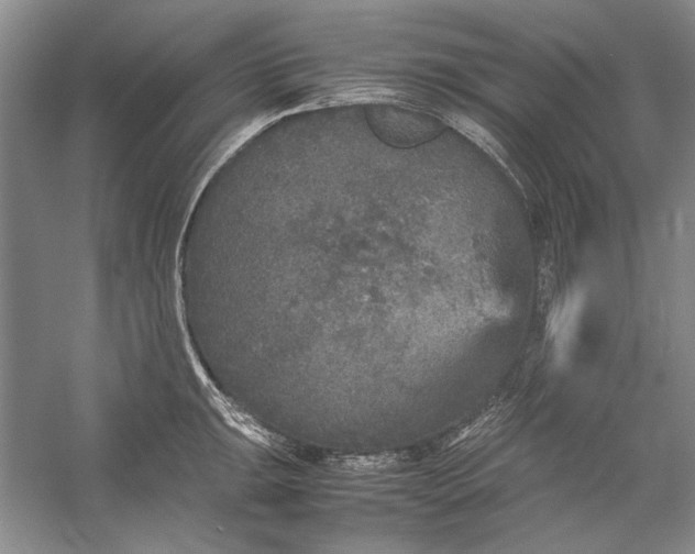 X0000054371047200508191841