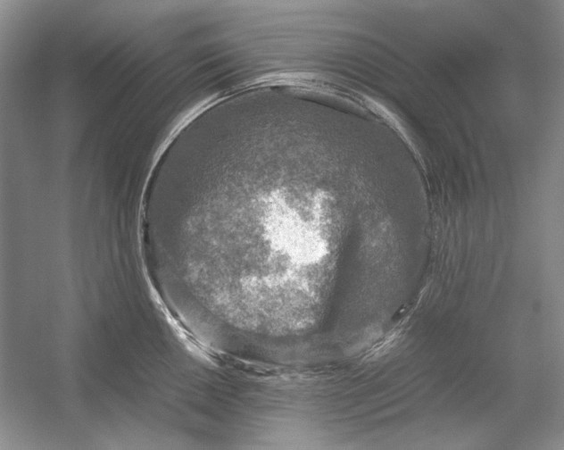 X0000054371050200508191841