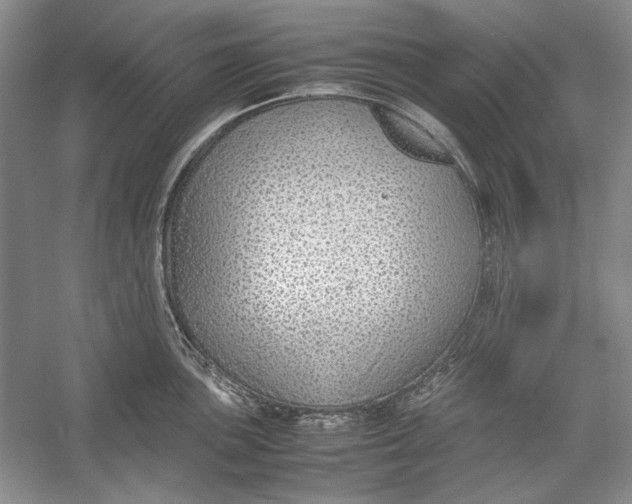 X0000054371051200508191841