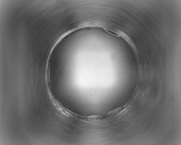 X0000054371052200508191841