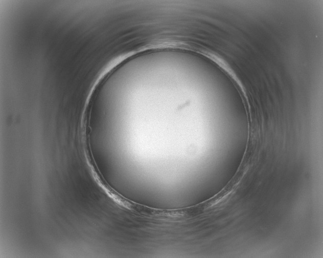 X0000054371053200508191841