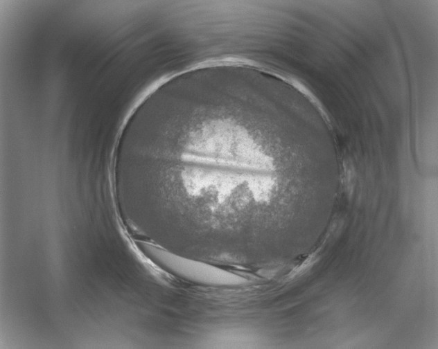 X0000054371054200508191841