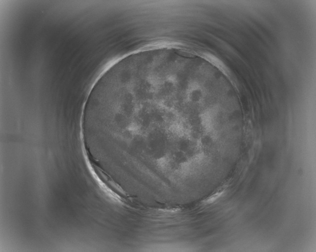 X0000054371055200508191841