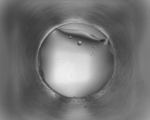 X0000054371056200508191841