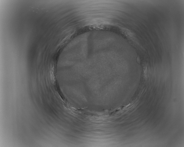 X0000054371060200508191840