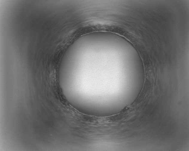 X0000054371061200508191840