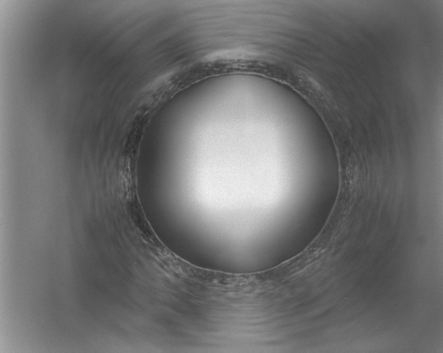 X0000054371062200508191840