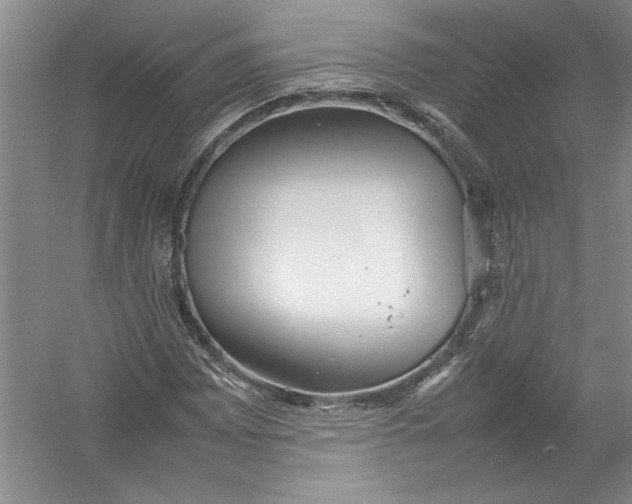 X0000054371065200508191840