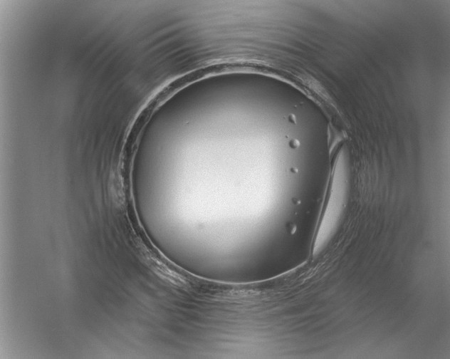 X0000054371068200508191840