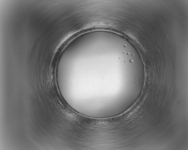 X0000054371070200508191840