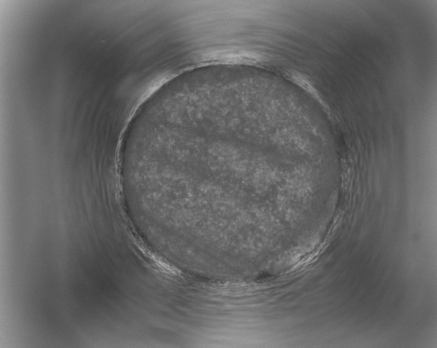 X0000054371071200508191840