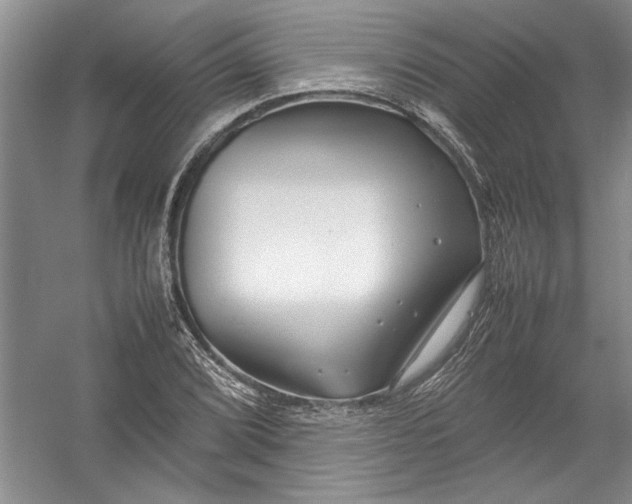 X0000054371072200508191840