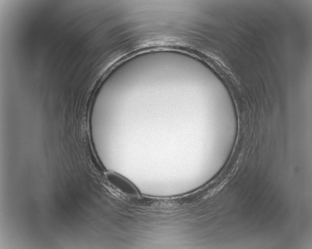 X0000054371073200508191840