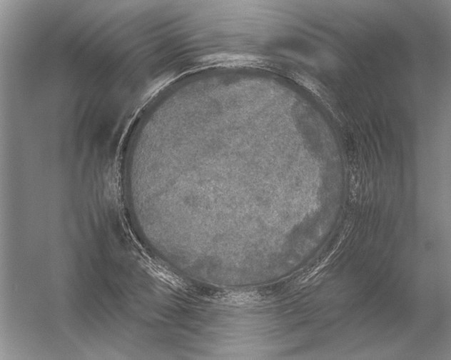 X0000054371074200508191840