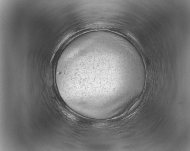 X0000054371075200508191840