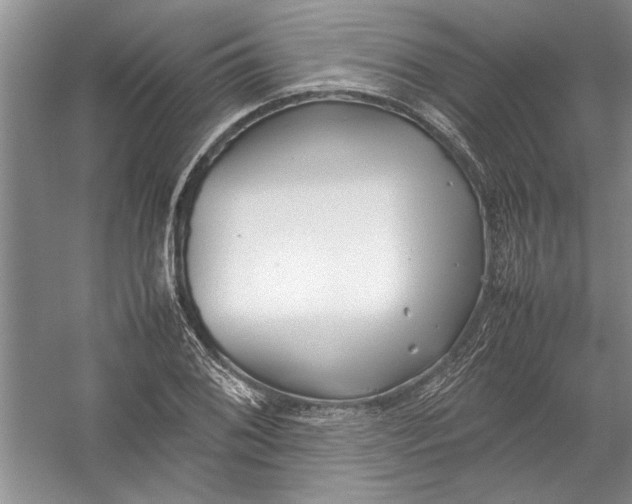 X0000054371076200508191840