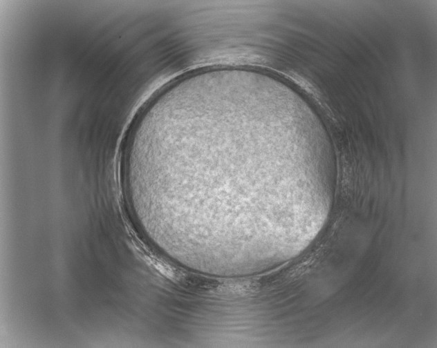 X0000054371078200508191840