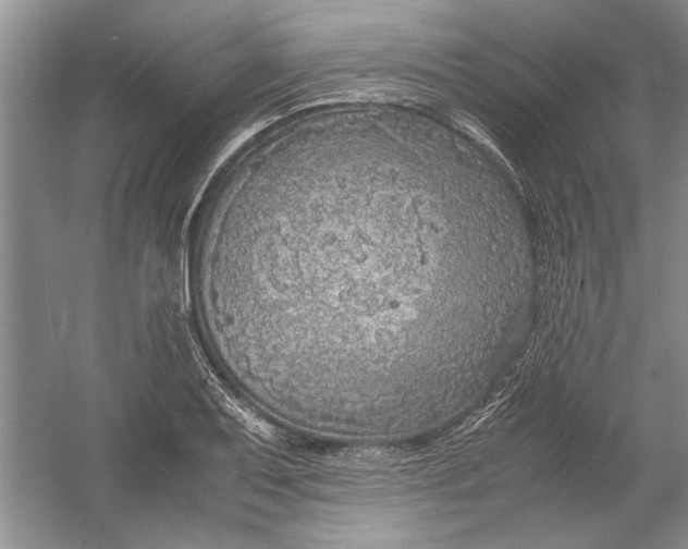 X0000054371079200508191840