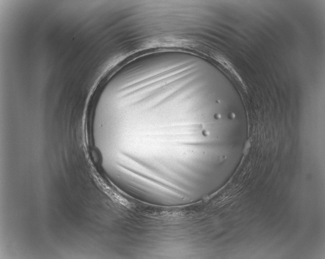 X0000054371080200508191840