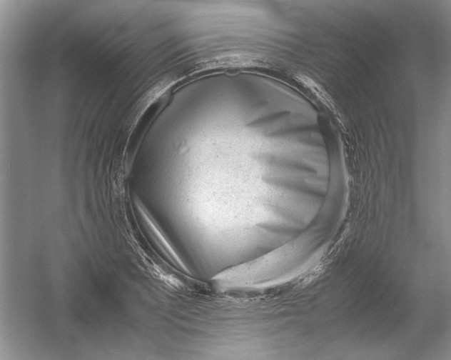 X0000054371081200508191840