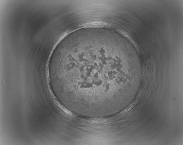 X0000054371083200508191840