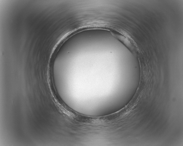 X0000054371085200508191840