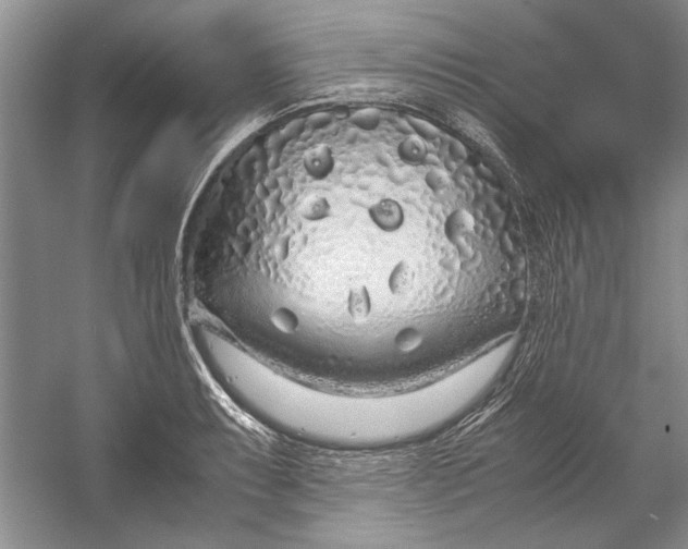 X0000054371087200508191840