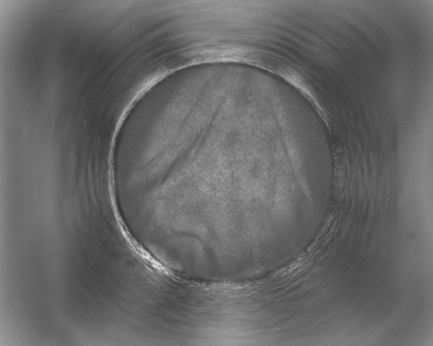 X0000054371088200508191840