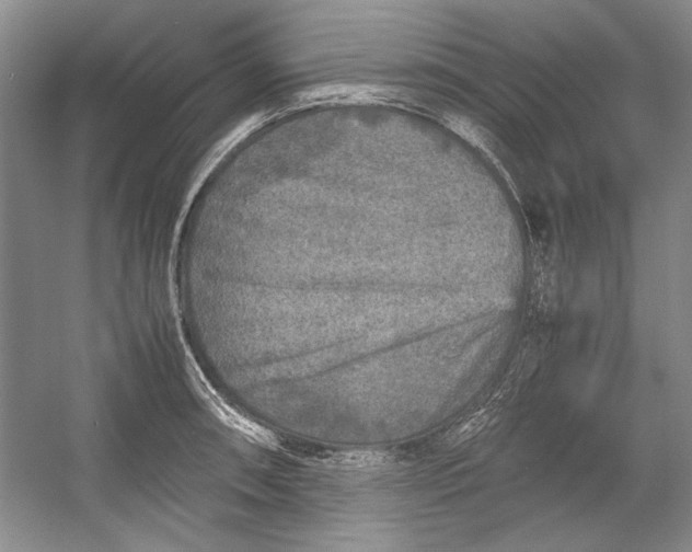 X0000054371090200508191840