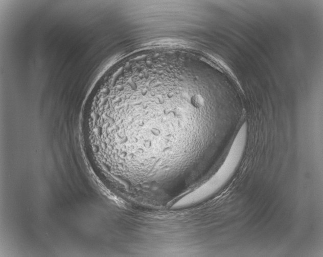 X0000054371091200508191840