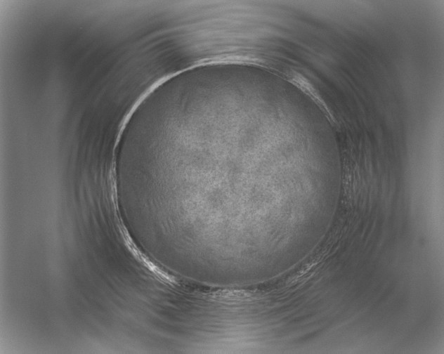 X0000054371092200508191840