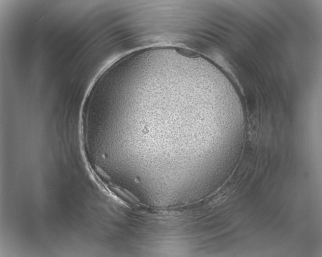 X0000054371096200508191840