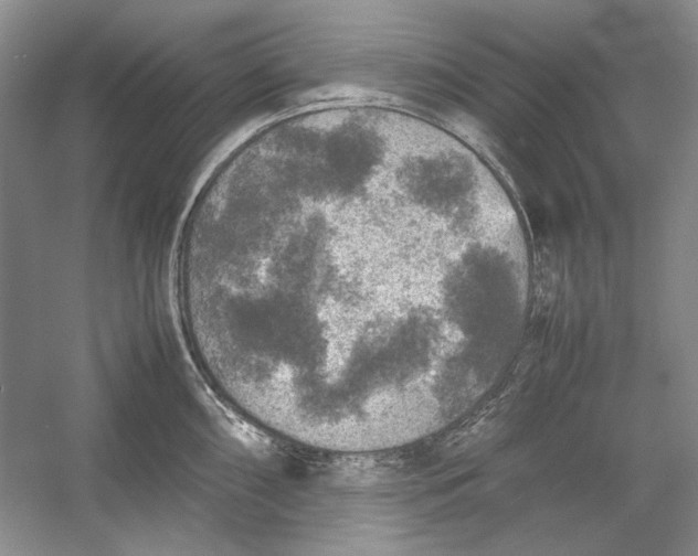 X0000054371098200508191840