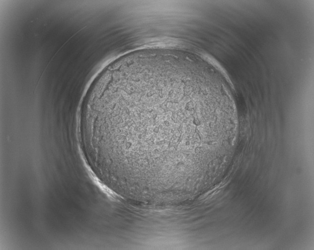 X0000054371099200508191840