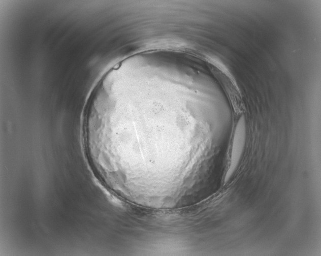 X0000054371103200508191840