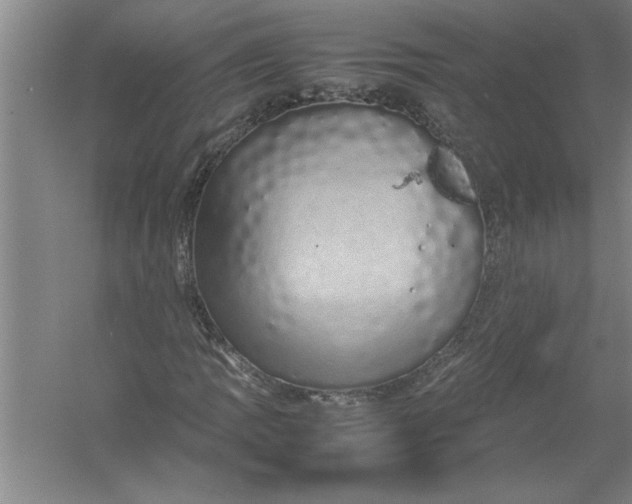 X0000054371109200508191839