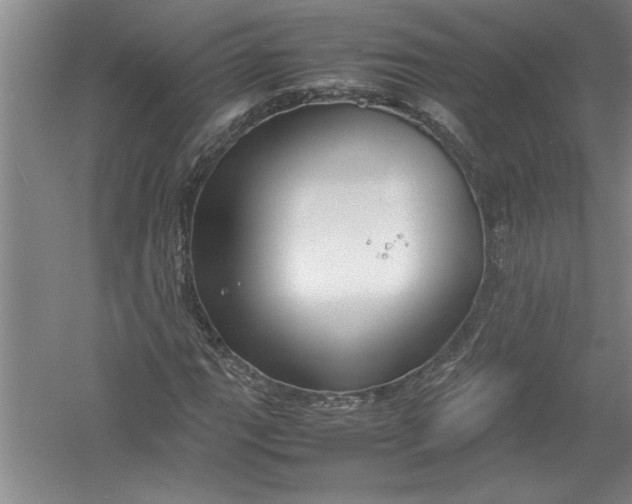 X0000054371111200508191839