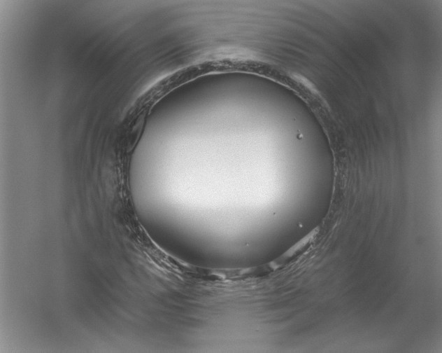 X0000054371112200508191839