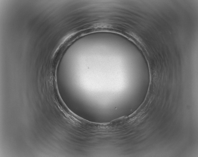 X0000054371115200508191839