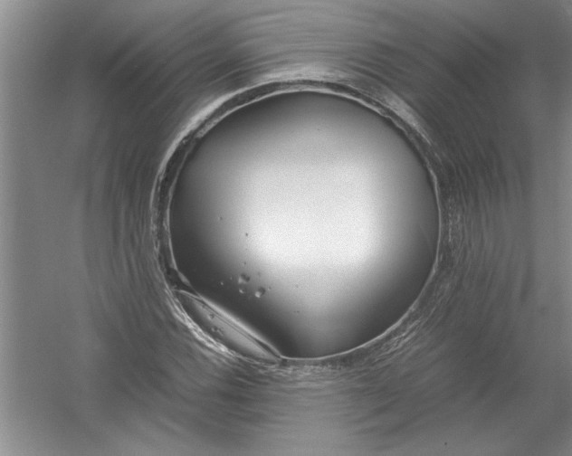 X0000054371116200508191839