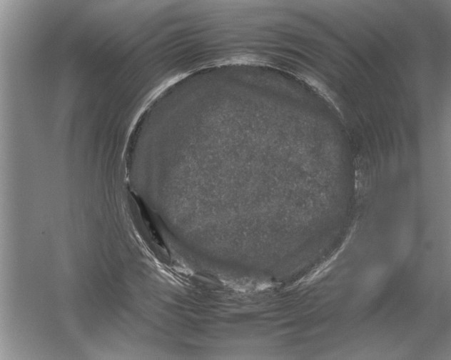 X0000054371117200508191839