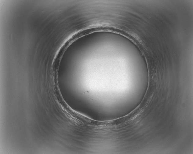 X0000054371118200508191839