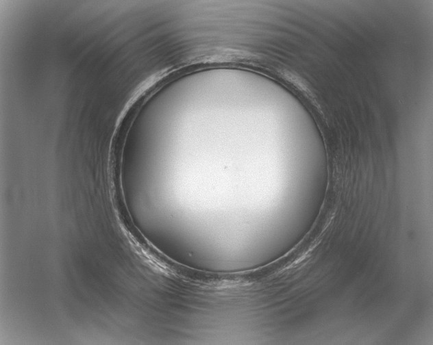 X0000054371122200508191839