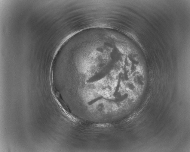 X0000054371125200508191839