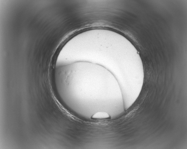 X0000054371126200508191839