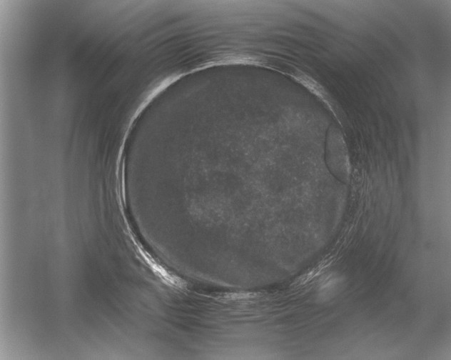 X0000054371127200508191839